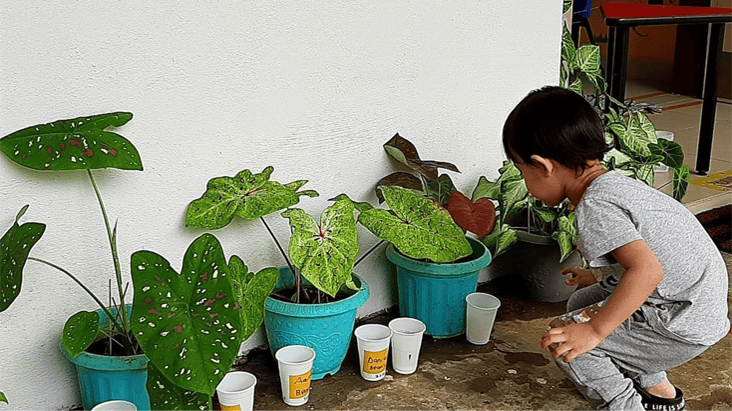 Gardening